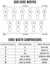 Load image into Gallery viewer, Spotlight Pink Point Shoe