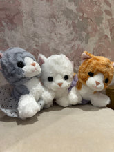 Load image into Gallery viewer, Floppy Cats (Different colors)
