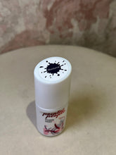 Load image into Gallery viewer, Canvas Pointe Paint (Variety of Colors)
