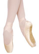 Load image into Gallery viewer, 2007 Pro Pointe Shoes
