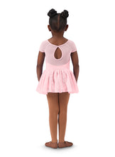 Load image into Gallery viewer, Girls Pink Spring Garden Tutu Dress
