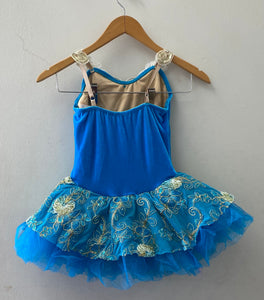 Blue Velvet Tutu Dress