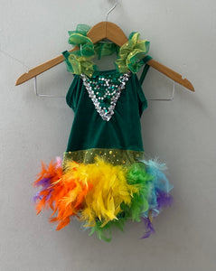 Rainbow Feather Costume