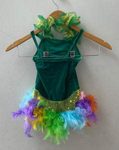 Rainbow Feather Costume